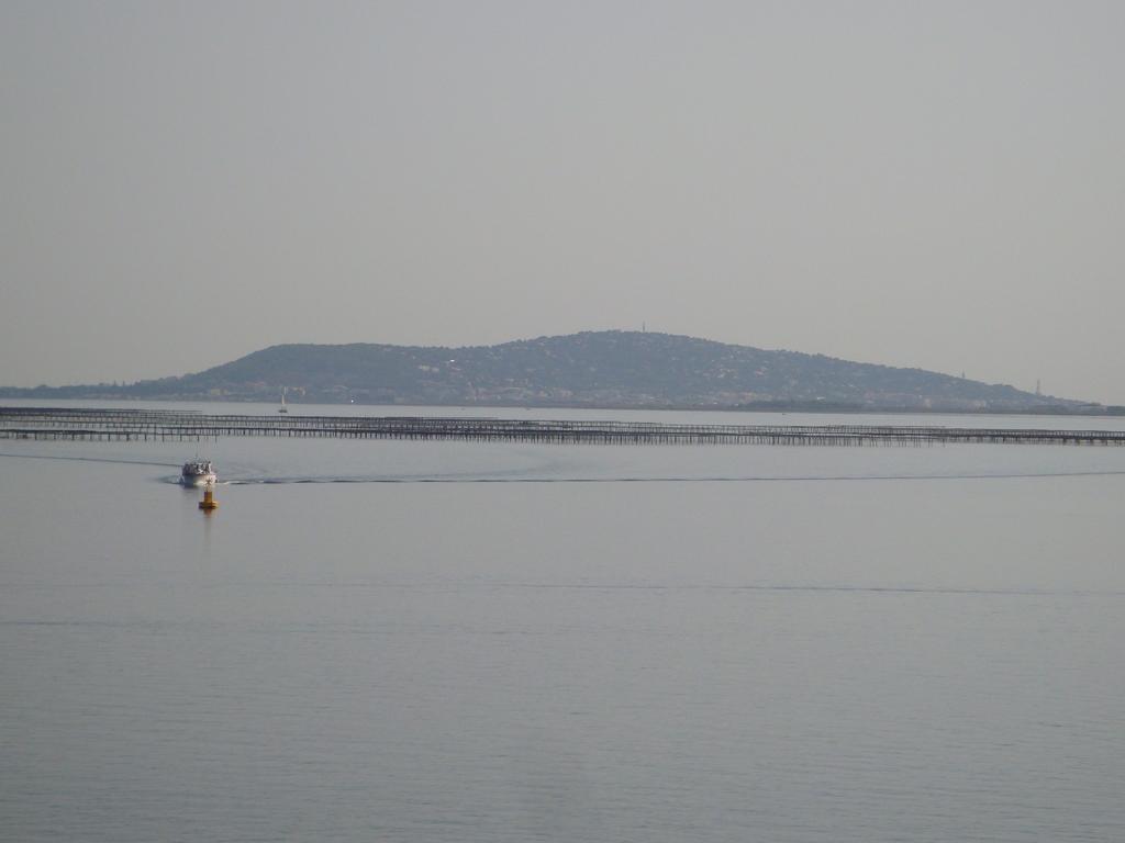 Port Rive Gauche Iona Leilighet Marseillan  Eksteriør bilde